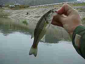 990417�o�X�̎ʐ^