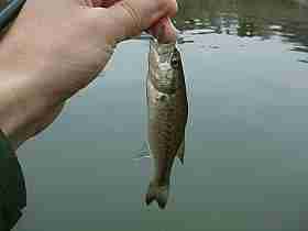 990417���o�X�̎ʐ^